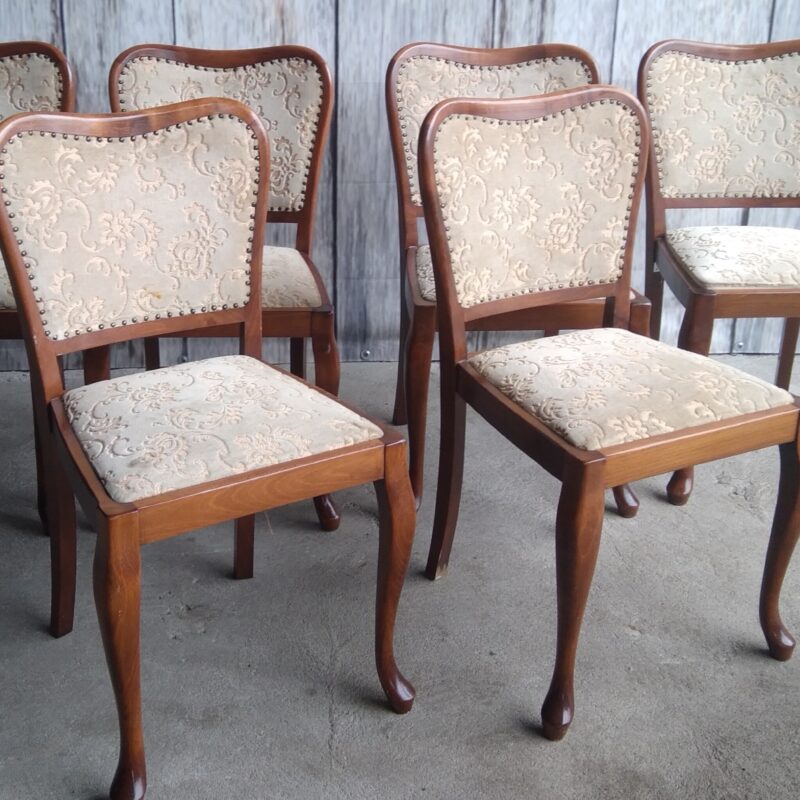 komplet sześciu krzeseł / 134